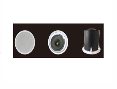 10寸同轴会议天花单元